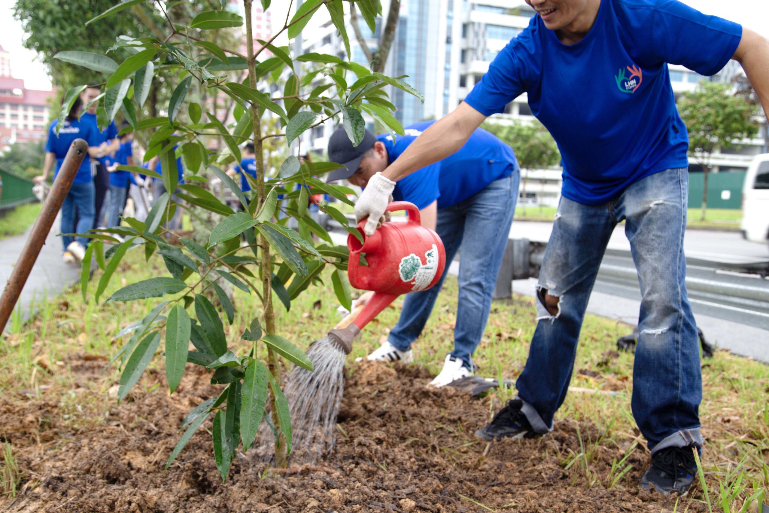 tree-planting-2023