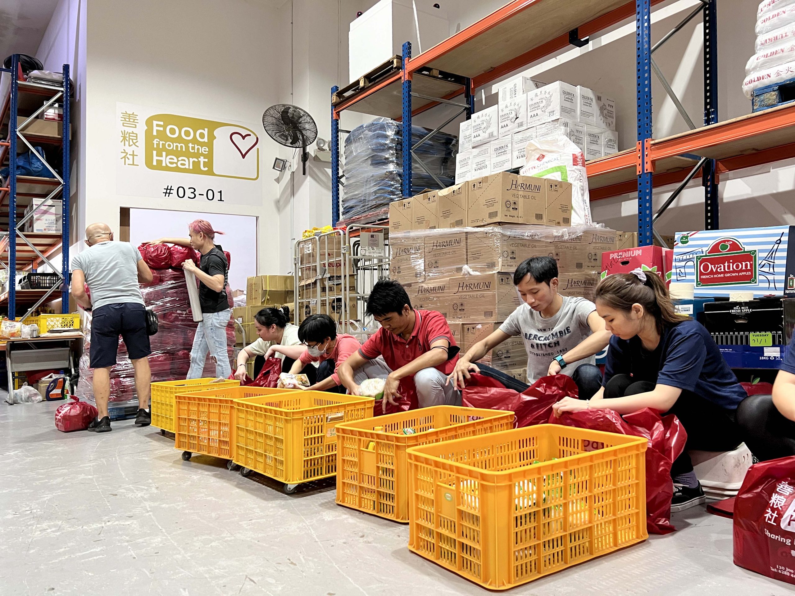 volunteering-at-FFTH-2023